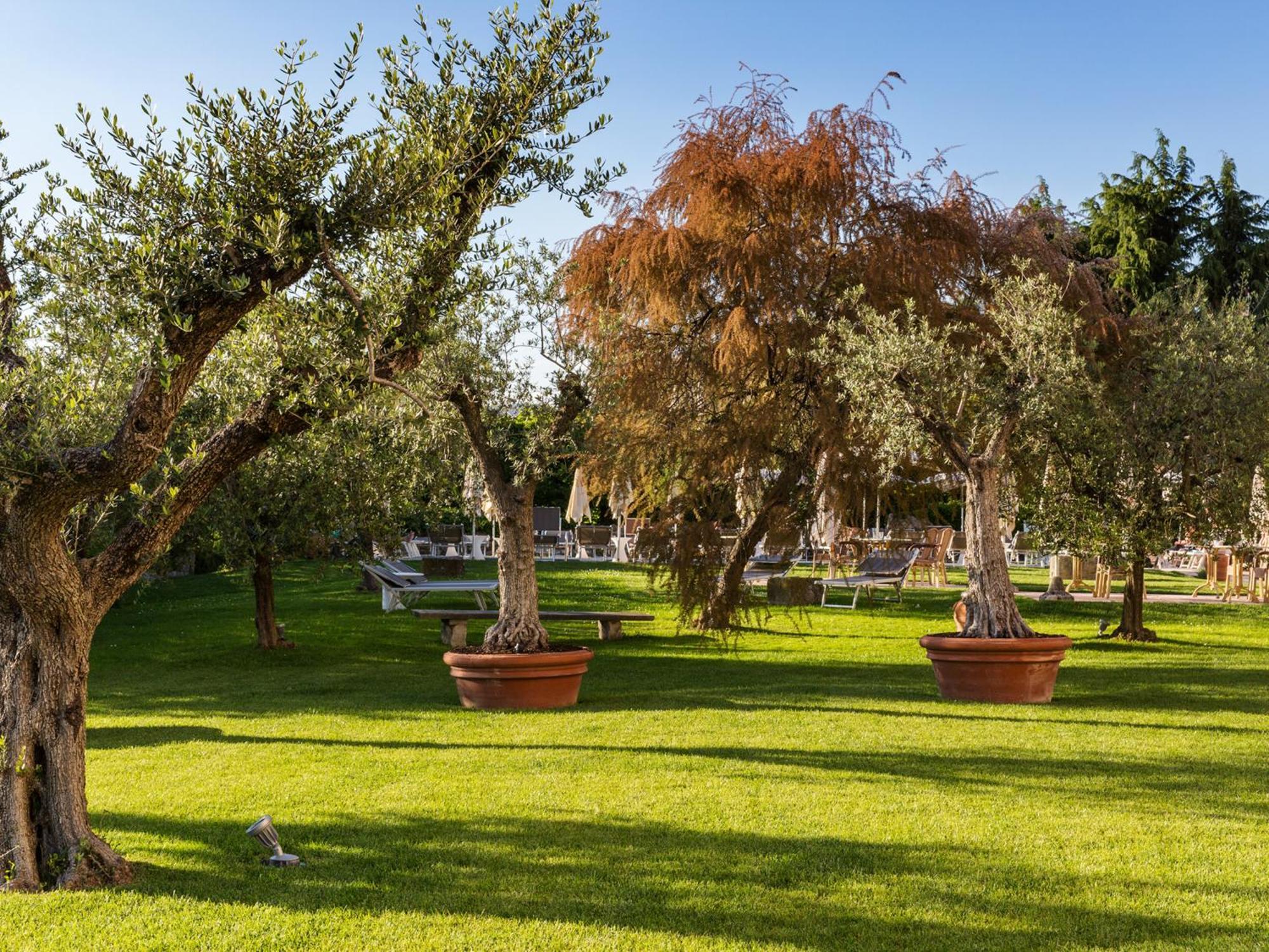 Hotel Ca' Mura Bardolino Eksteriør bilde